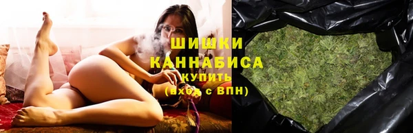 стаф Верея
