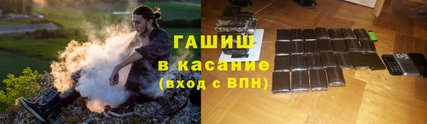 стаф Верея