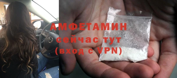 сатива Верхний Тагил