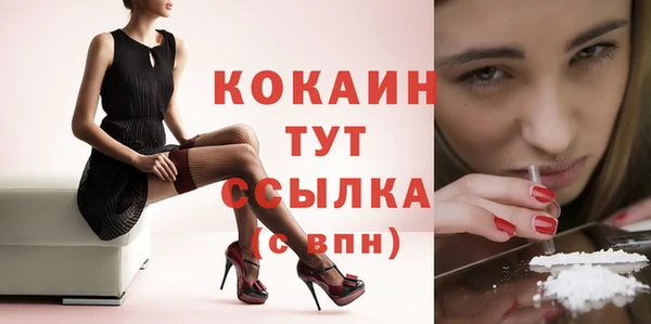 стаф Верея