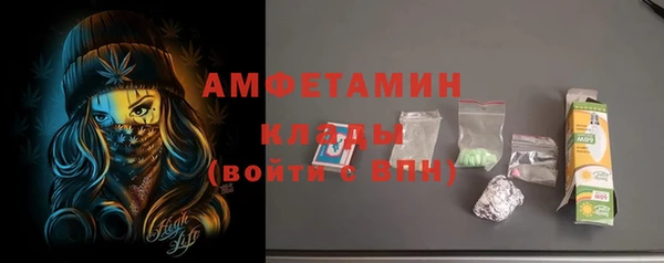 стаф Верея