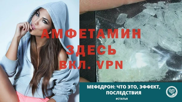 стаф Верея