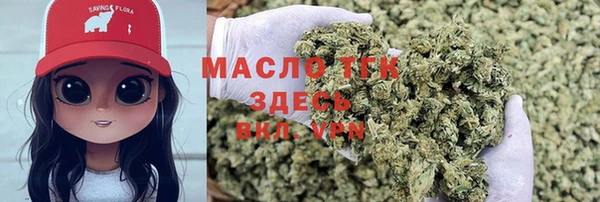 сатива Верхний Тагил