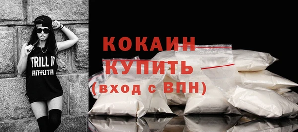 стаф Верея