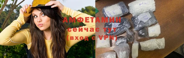 стаф Верея