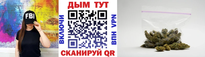 МАРИХУАНА план  Новый Уренгой 